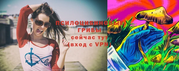 мяу мяу мука Заводоуковск