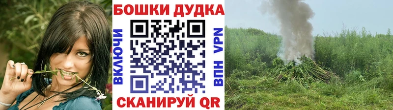 Купить Тольятти Марихуана сатива
